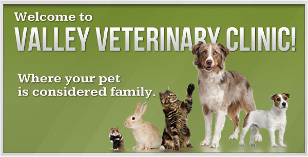 Valley Veterinary Clinic welcomes you and your pet!